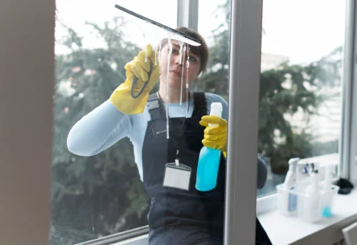 Nettoyage de vitres intérieures et extérieures à Bouglainval